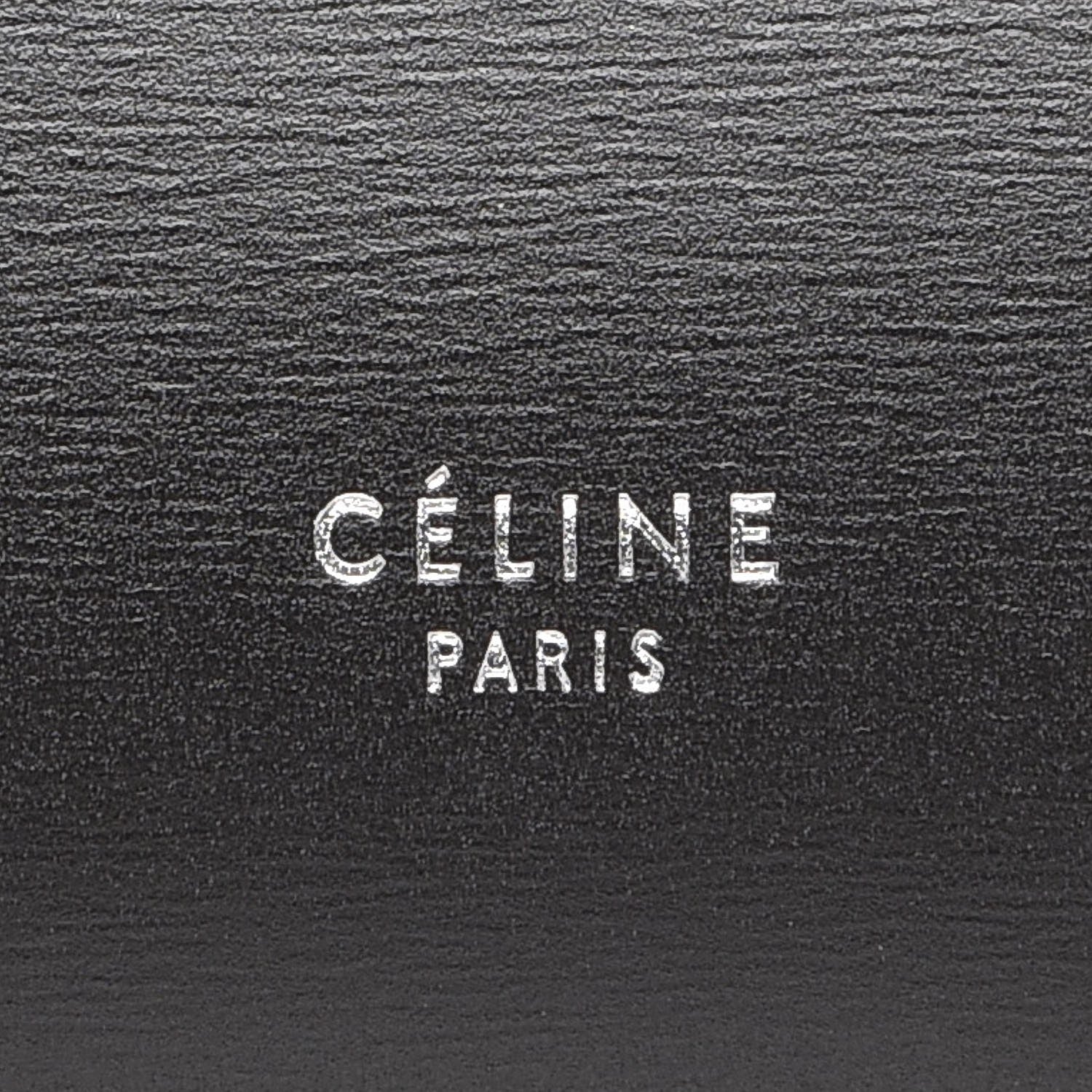 Celine Palmelato Calfskin Mini Belt Bag Espresso 7 of 10