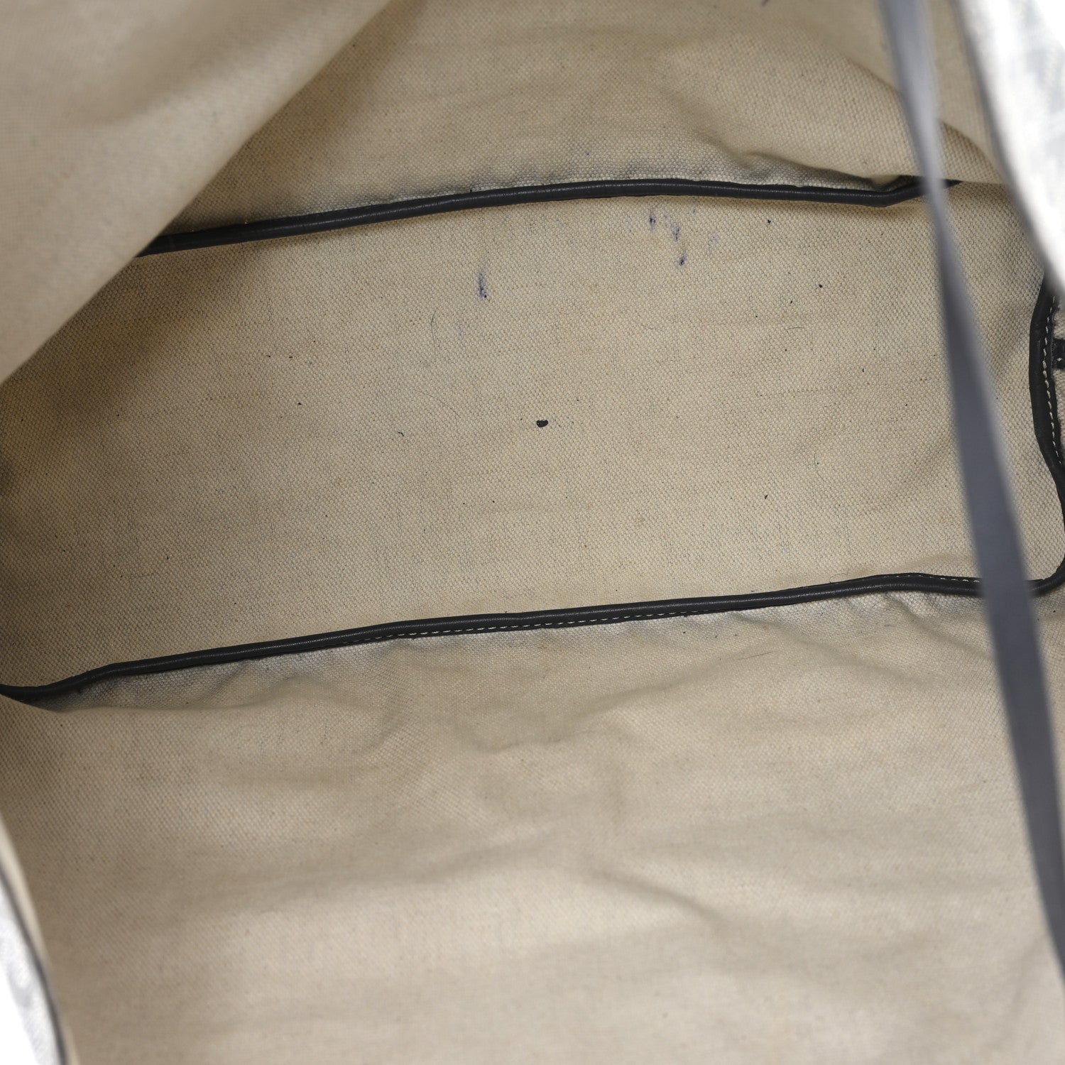 Goyard Goyardine Saint Louis PM Grey 6 of 14