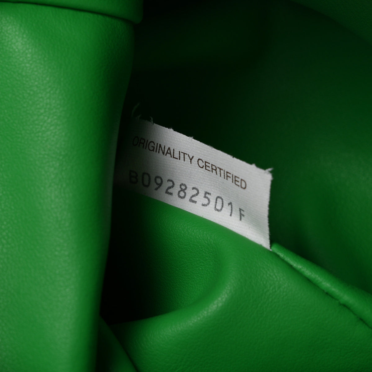 Calfskin Mini BV Twist Parakeet