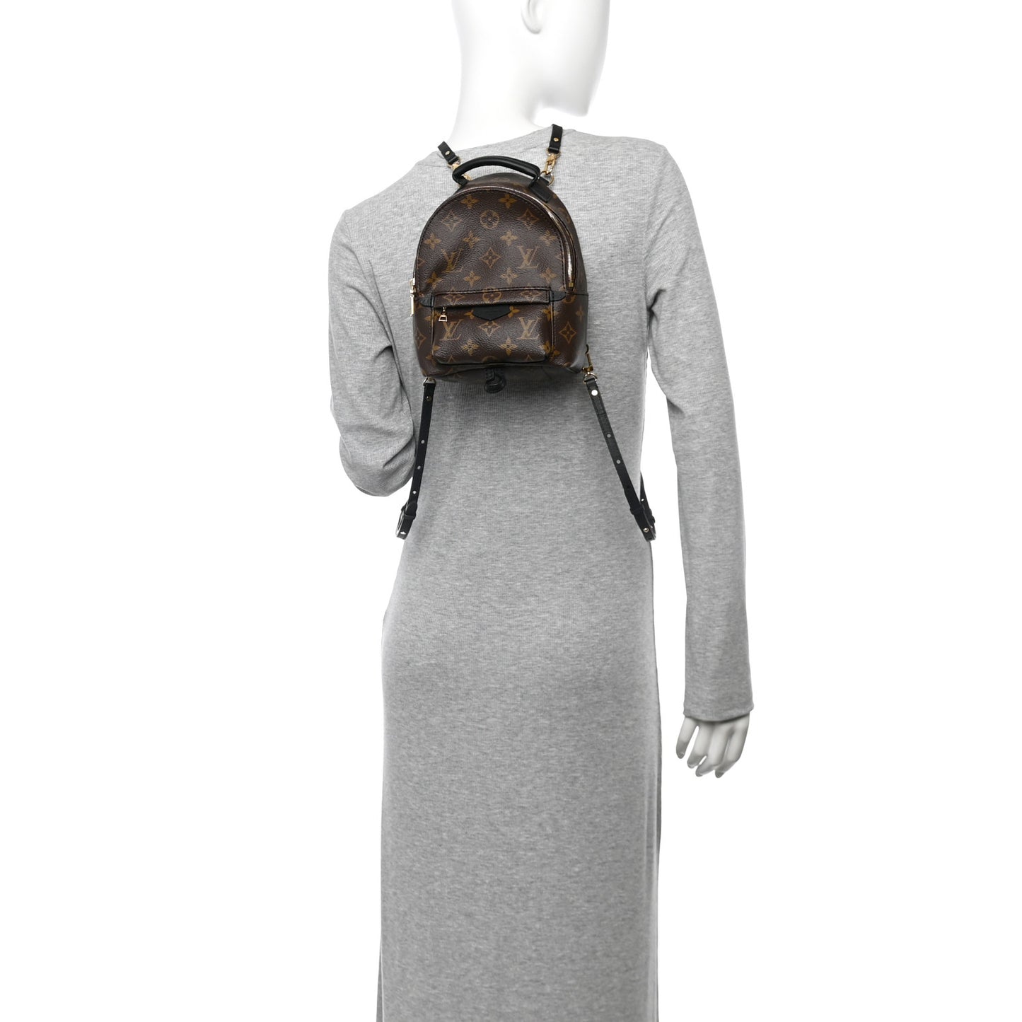 Monogram Palm Springs Backpack Mini