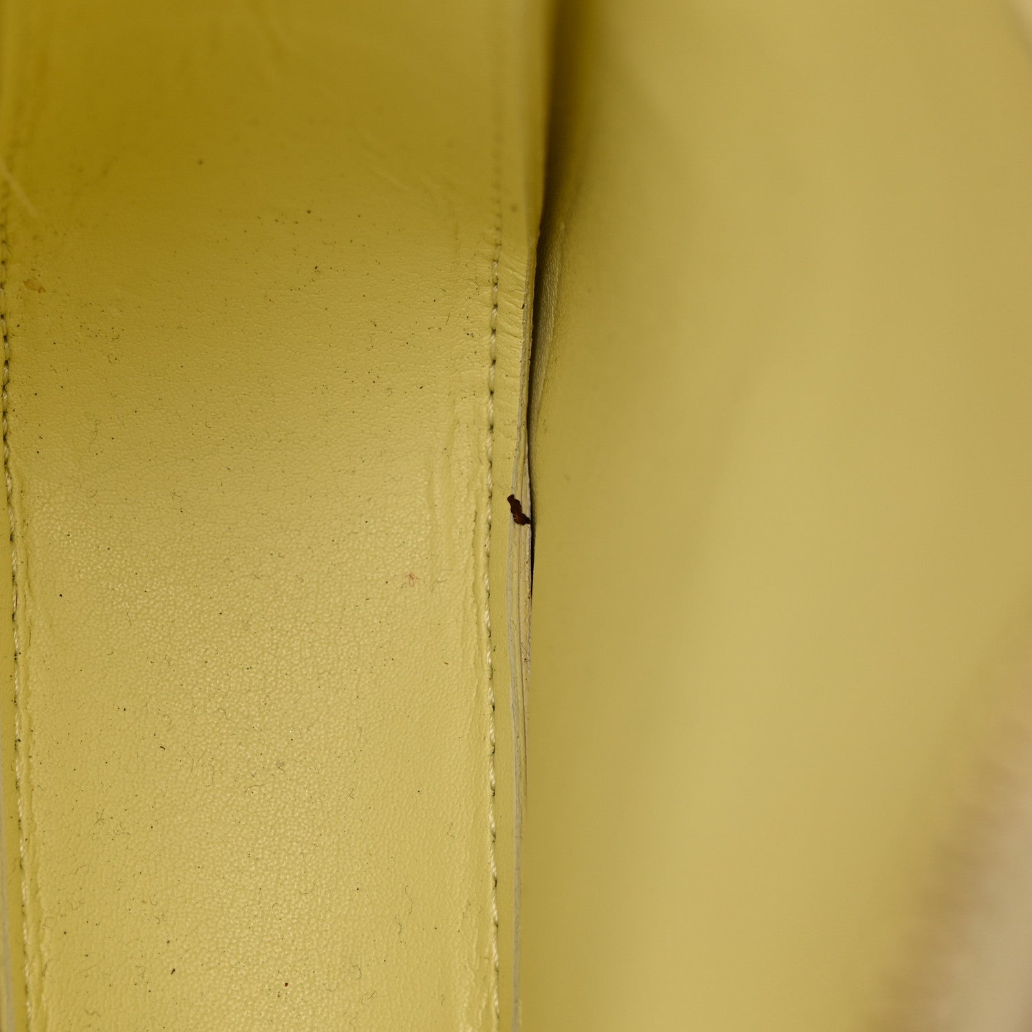 Louis Vuitton Vernis Mott Yellow 9 of 12