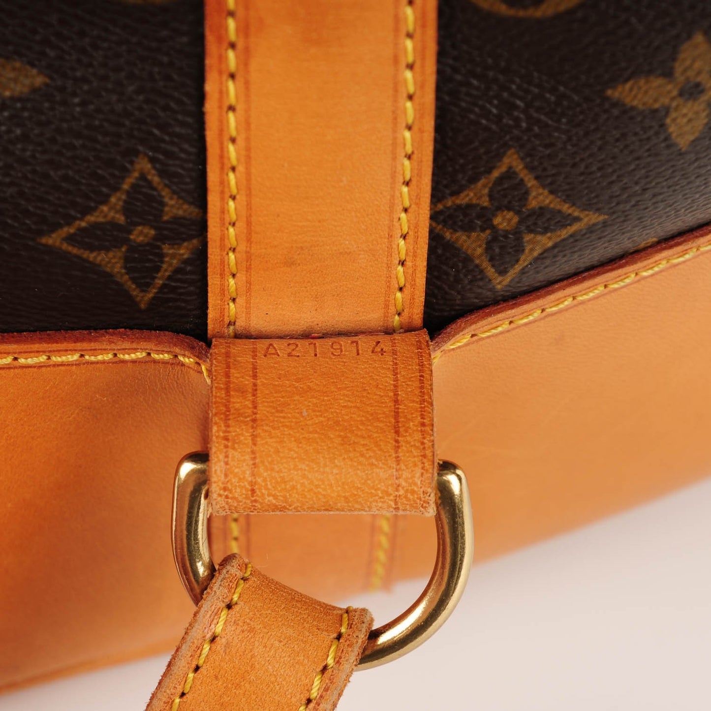 Monogram Randonnee GM Backpack