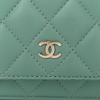 Chanel Lambskin Quilted Mini Wallet On Chain WOC Light Green 12 of 13