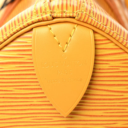 Louis Vuitton Epi Speedy 25 Tassil 6 of 8