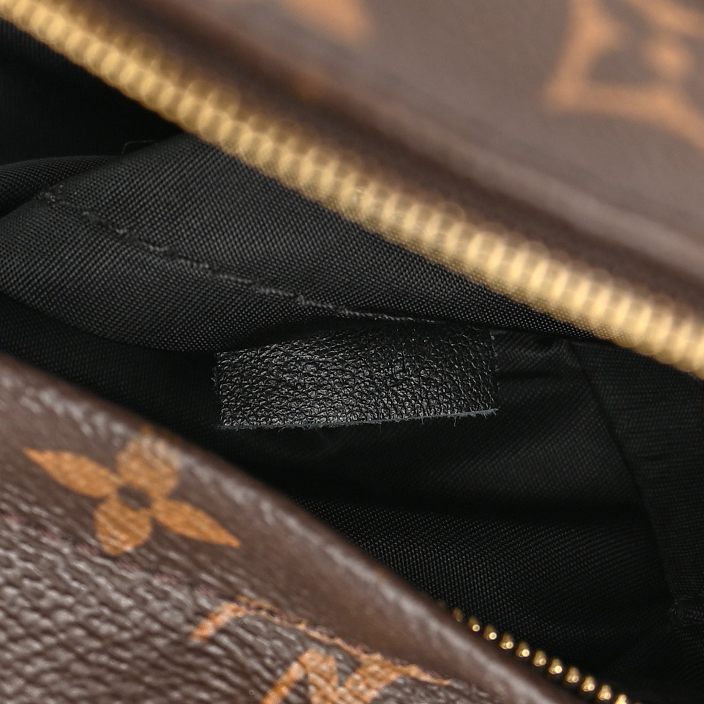Monogram Palm Springs Backpack Mini