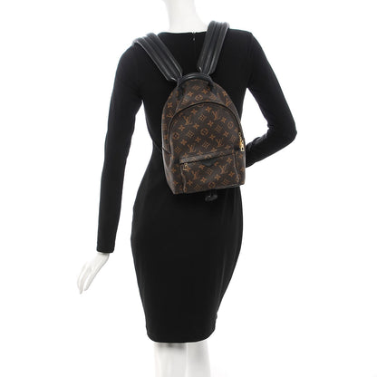 Louis Vuitton Monogram Palm Springs Backpack PM 2 of 7