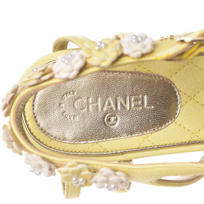 Chanel Goatskin Pearl Camellia Thong Sandals 39 Yellow 7 of 7