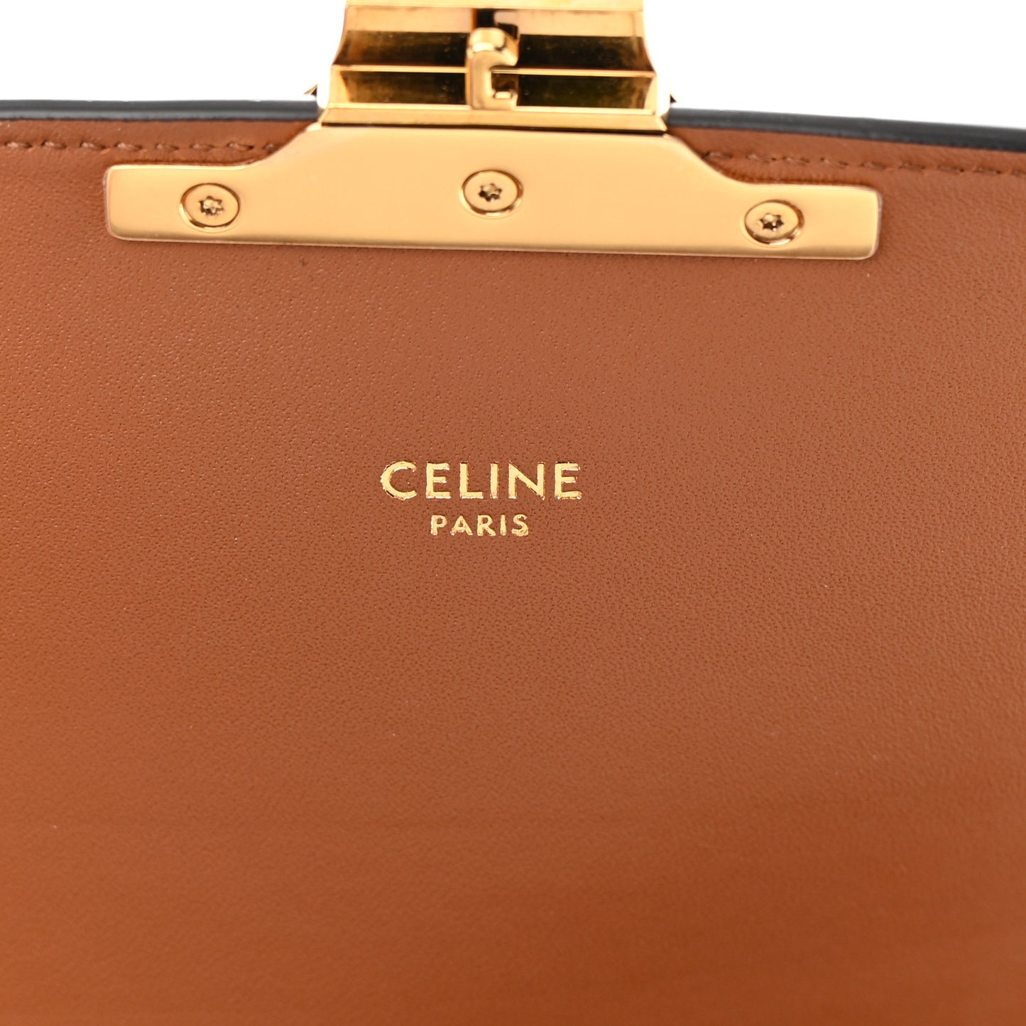 Canvas Calfskin Triomphe Embroidered Medium Triomphe Bag Tan