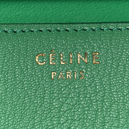 Celine Goatskin Medium Classic Box Flap Bag Palm 5 of 7