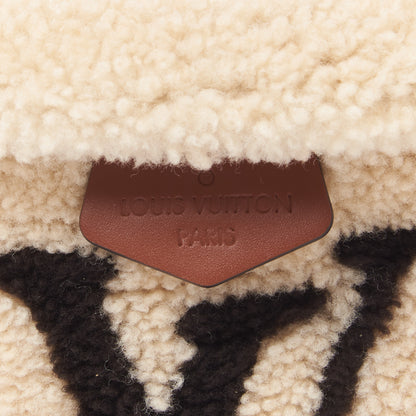 Louis Vuitton Monogram Teddy Bumbag 8 of 8