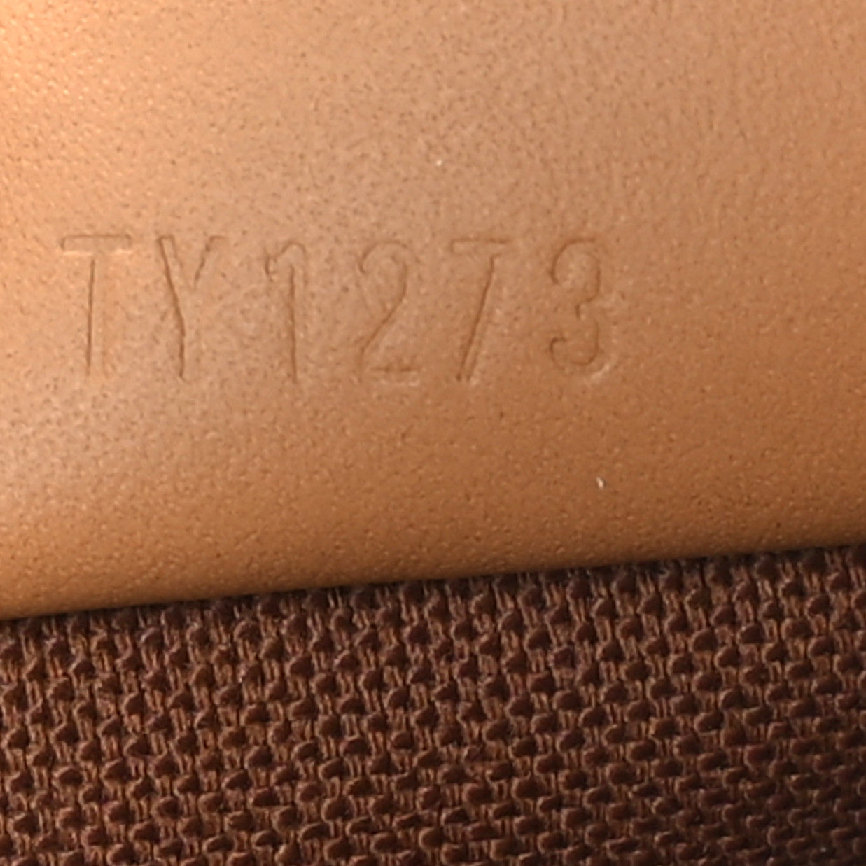 Monogram Nano Speedy Bandouliere