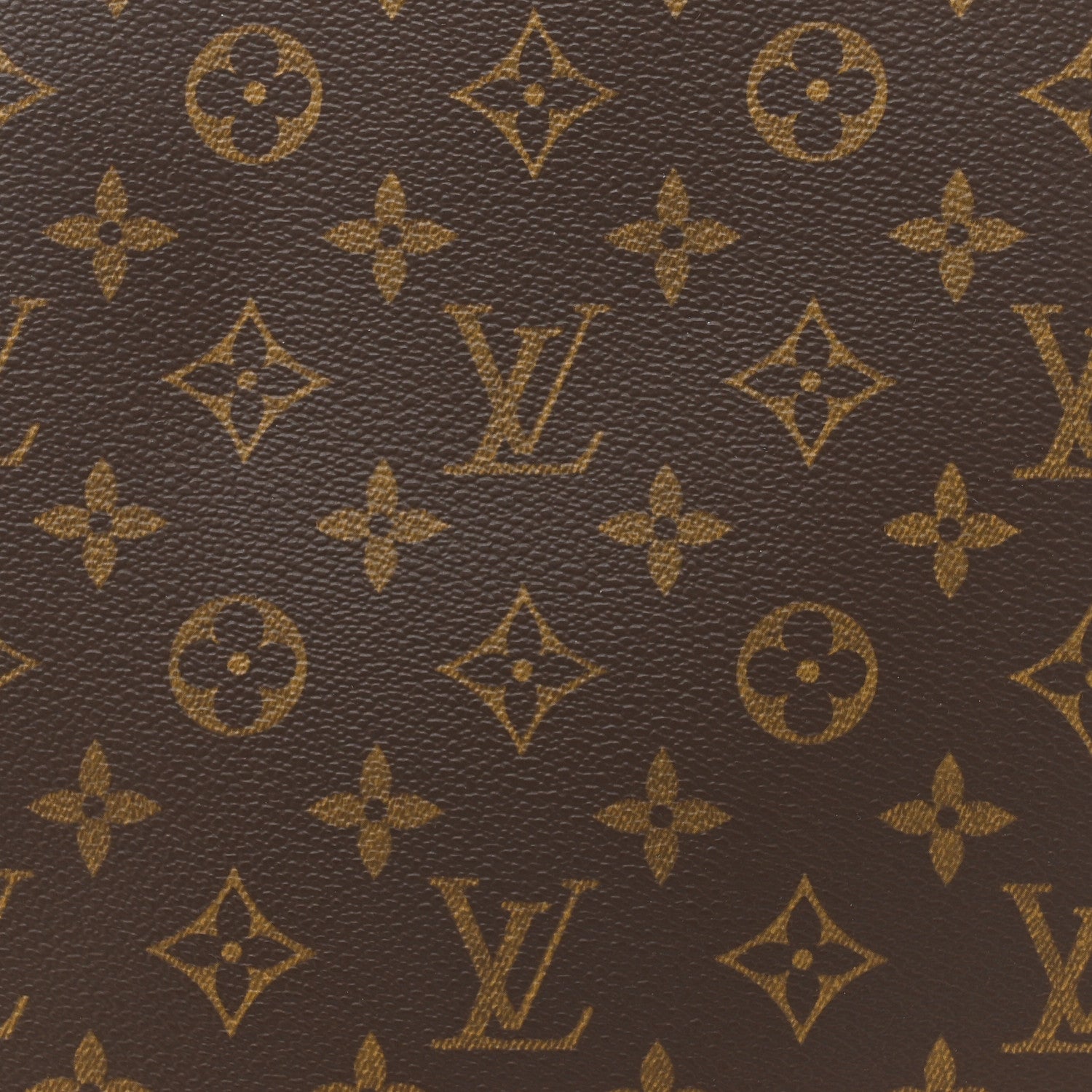 Louis Vuitton Monogram Excursion Shoe Bag 8 of 17