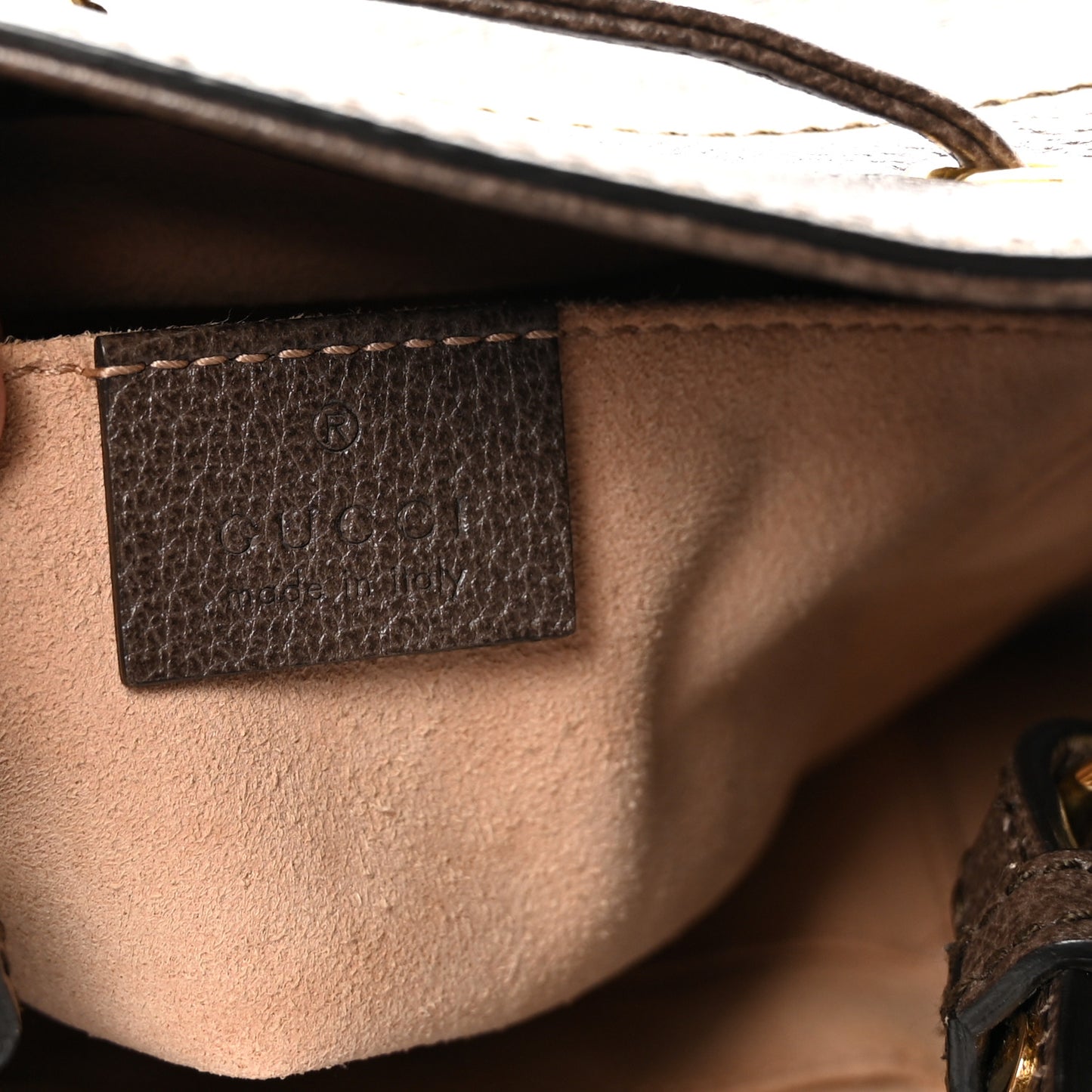 GG Supreme Monogram Web Small Ophidia Bucket Bag Brown