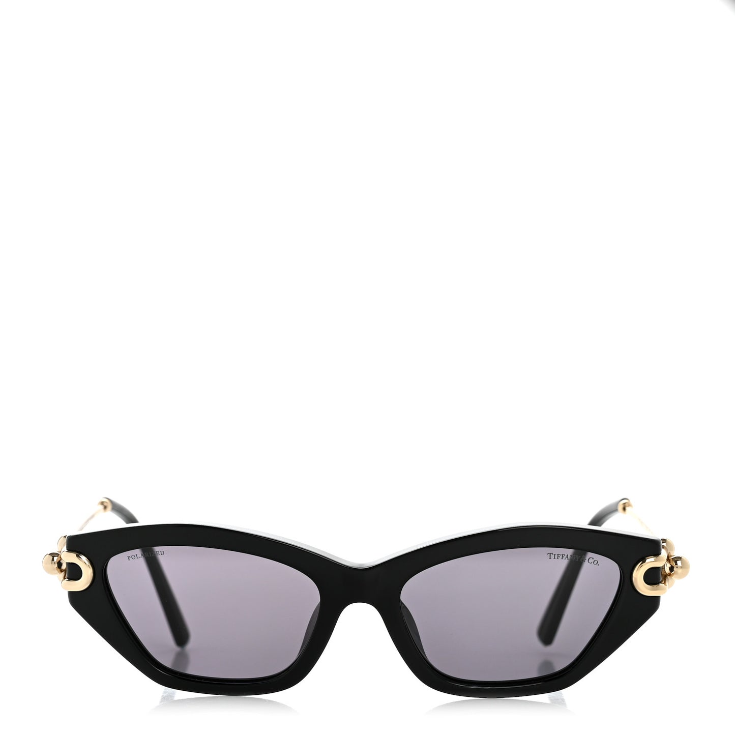 Acetate HardWear Cat Eye Sunglasses TF4231U Black