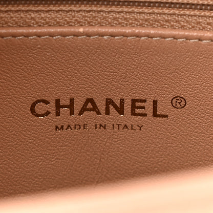 Chanel Caviar Lizard Embossed Quilted Small Coco Handle Flap Beige 6 of 10