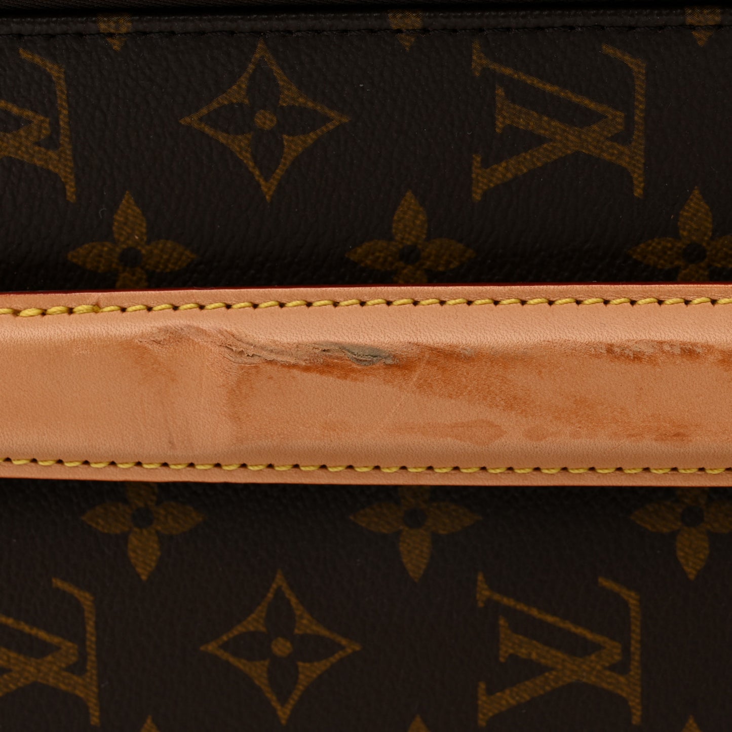 Monogram Pegase 55 Business NM