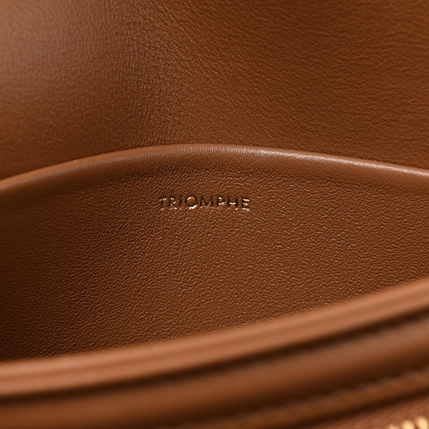 Celine Shiny Calfskin Teen Triomphe Bronze 7 of 11
