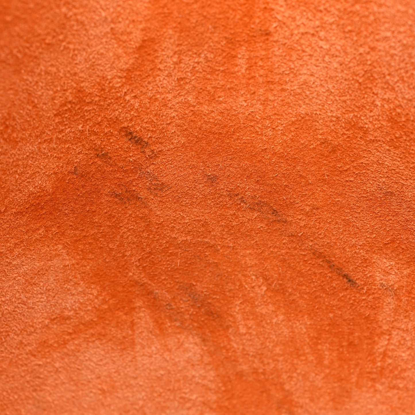 Taurillon Clemence Evelyne III PM Orange