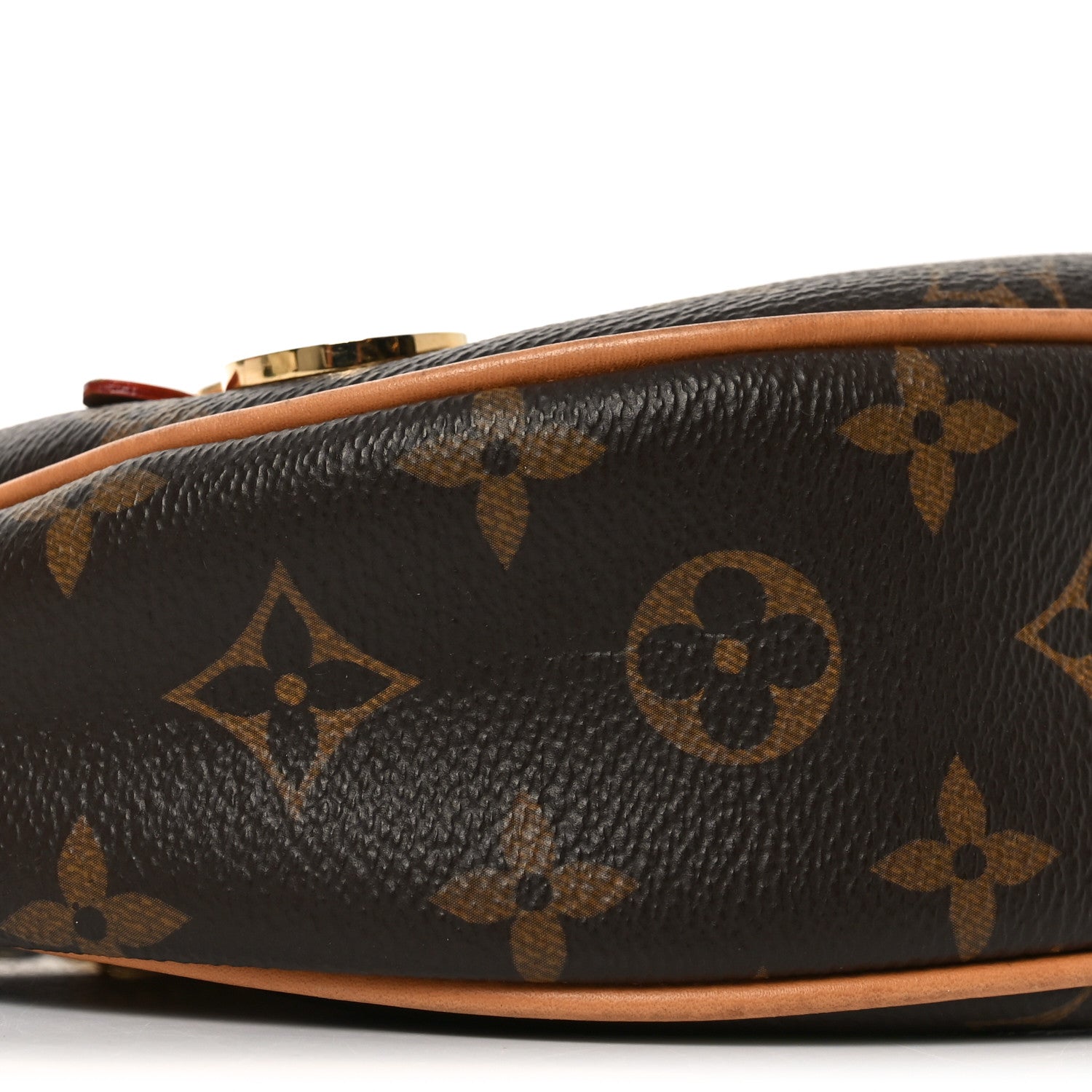 Louis Vuitton Monogram Loop 8 of 9