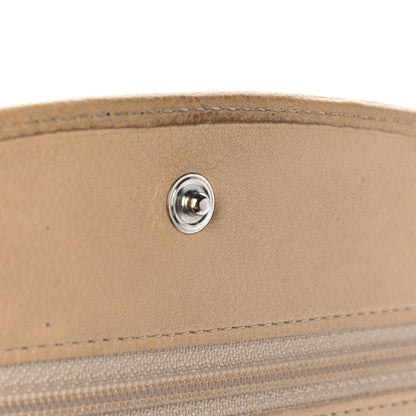 Chanel Caviar Sevruga Wallet on Chain WOC Beige 11 of 16