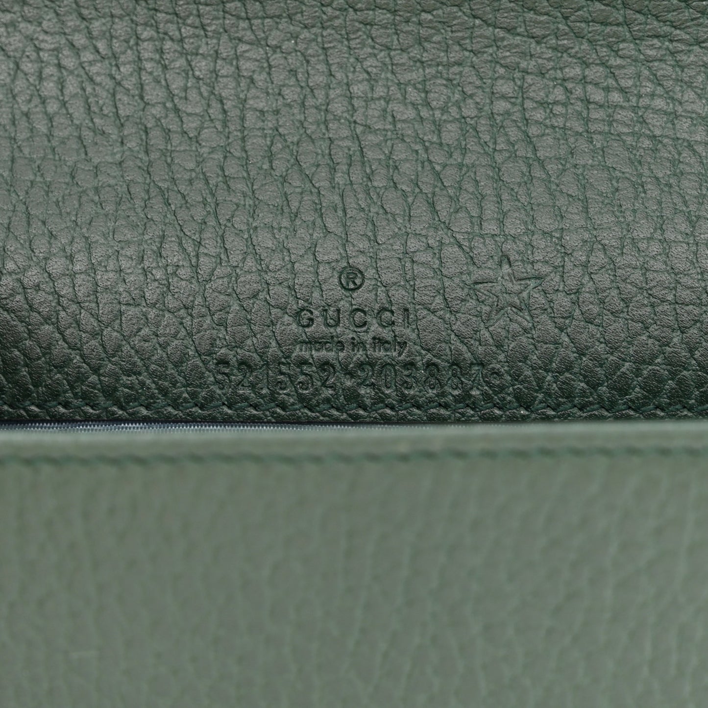 Dollar Calfskin Garden Mystic Cat Chain Wallet Green