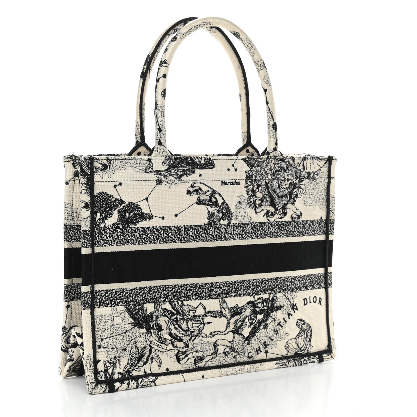 Canvas Zodiac Toile De Jouy Embroidered Medium Book Tote Latte