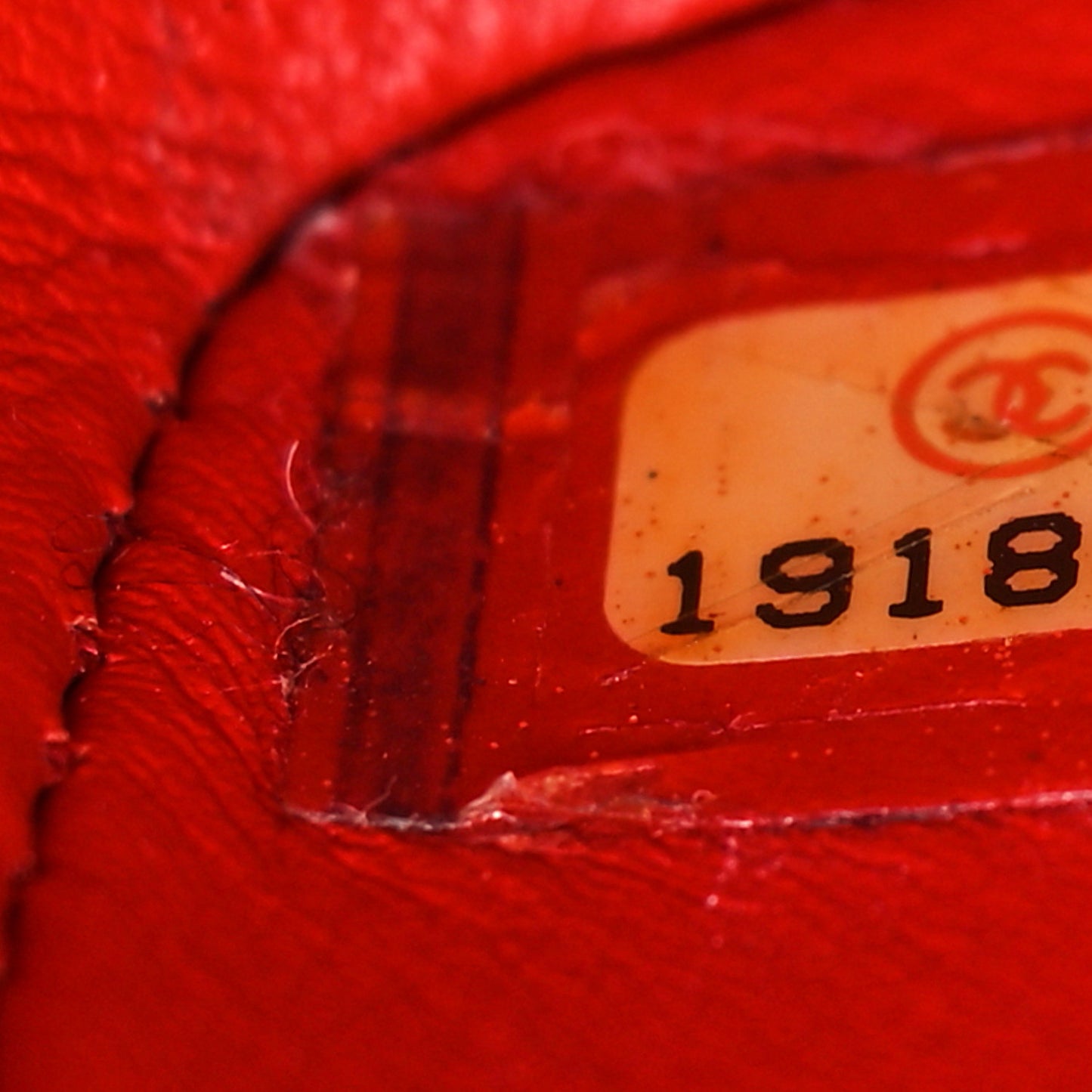 Snakeskin Mini Rectangular Flap Red