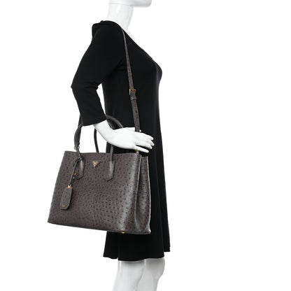 Prada Ostrich Double Bag Grey 2 of 16