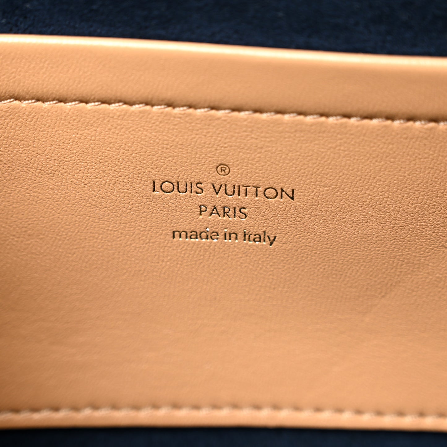 Lambskin Embossed Monogram Pochette Coussin Camel