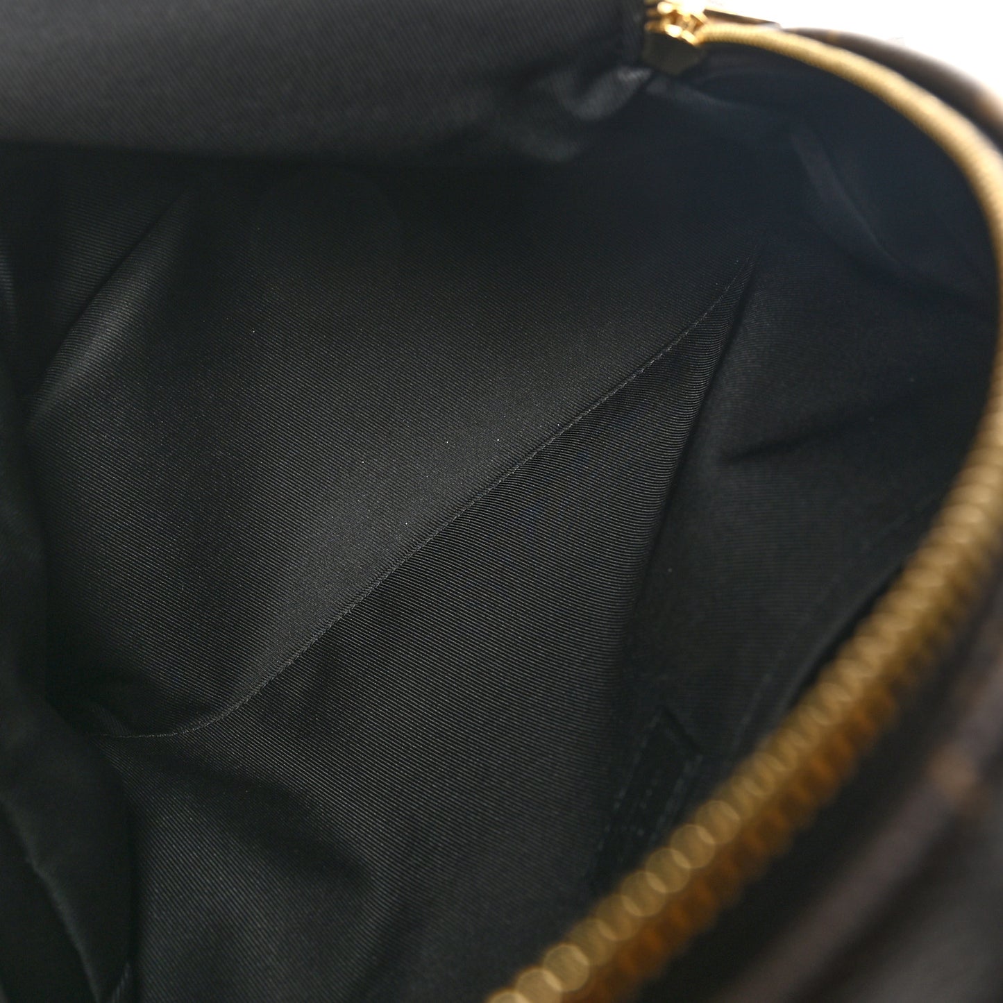 Monogram Palm Springs Backpack MM