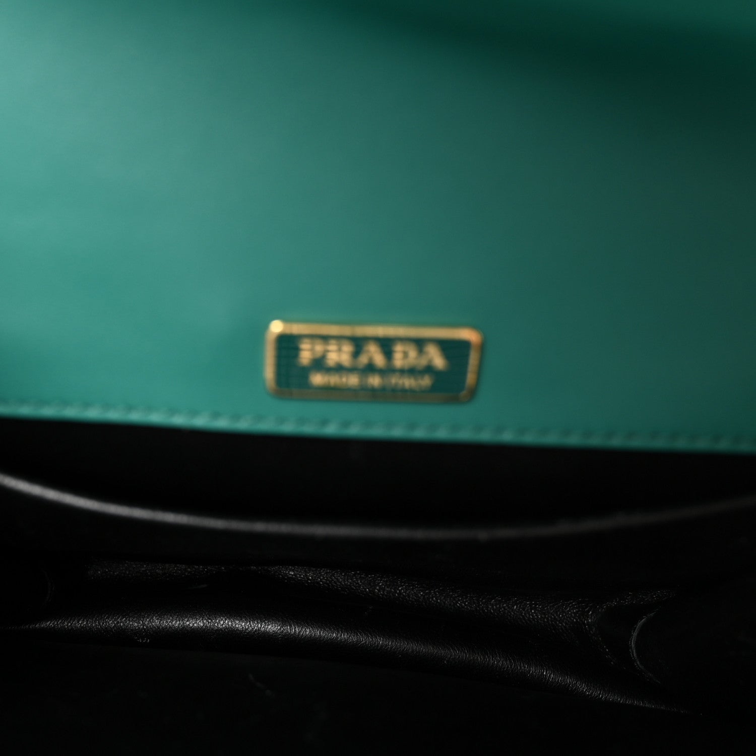 Prada Antic Soft Saffiano Lions Head Cahier Shoulder Bag Assenzio