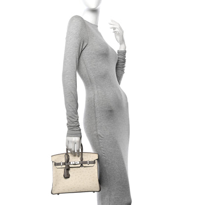 Hermes Ostrich Horseshoe Birkin 25 Beton Gris Asphalte 2 of 12