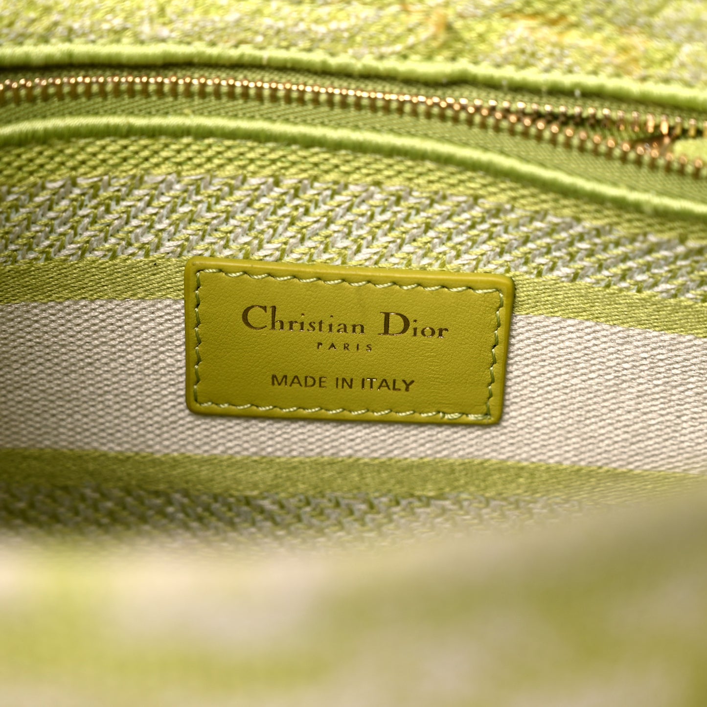 Canvas Toile De Jouy Reverse Embroidered Medium Lady D-Lite Green