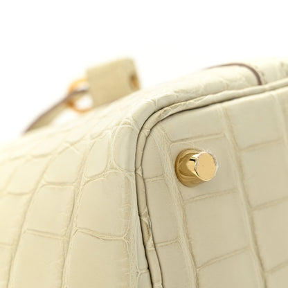 Hermes Matte Alligator Picotin Lock 18 Beton 9 of 12