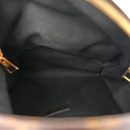 Louis Vuitton Monogram Palm Springs Backpack PM 5 of 10
