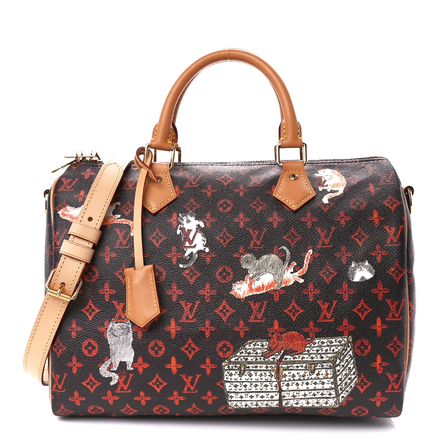 Louis Vuitton Catogram Speedy Bandouliere 30 Marron 1 of 13