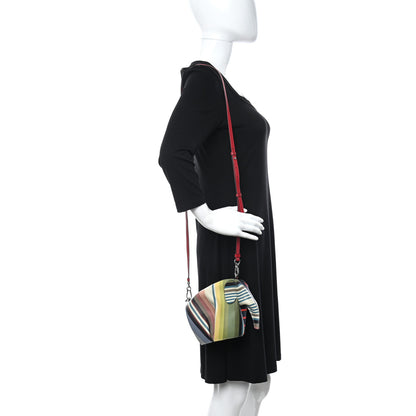 Loewe Calfskin Mini Stripe Elephant Crossbody Bag Multicolor 2 of 9