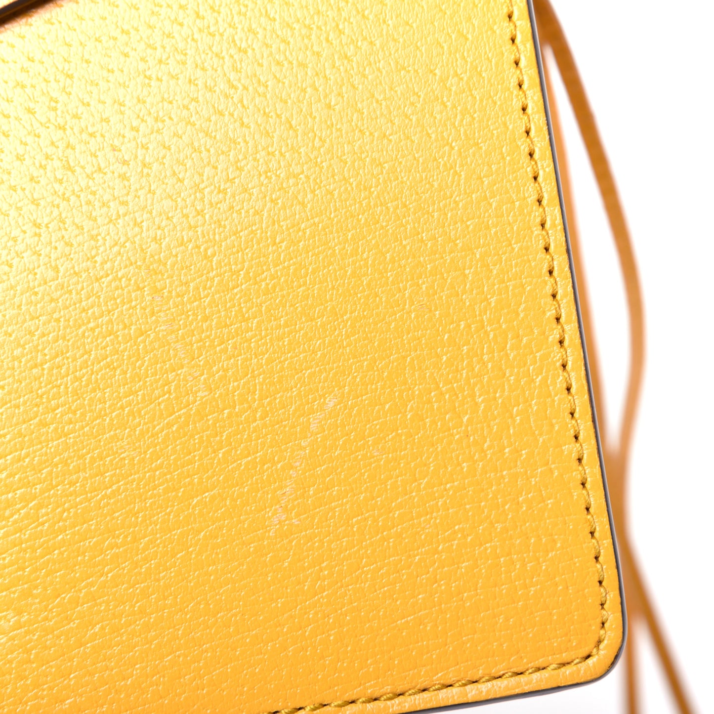 Textured Calfskin Web Animalier Chain Shoulder Bag Crop