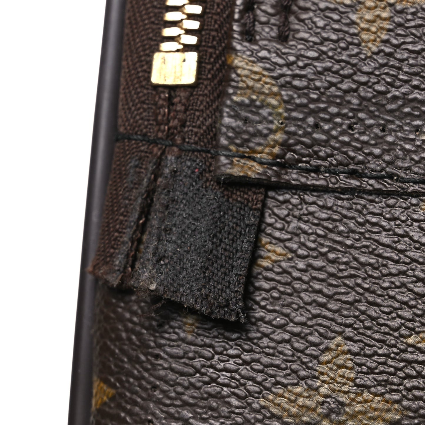 Monogram Pegase 55