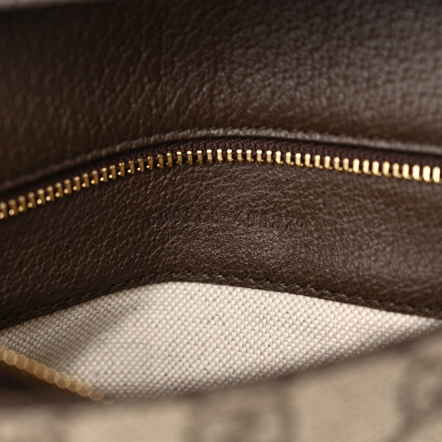GG Supreme Monogram Textured Dollar Calfskin Blondie Chain Shoulder Flap Bag Beige Ebony New Acero