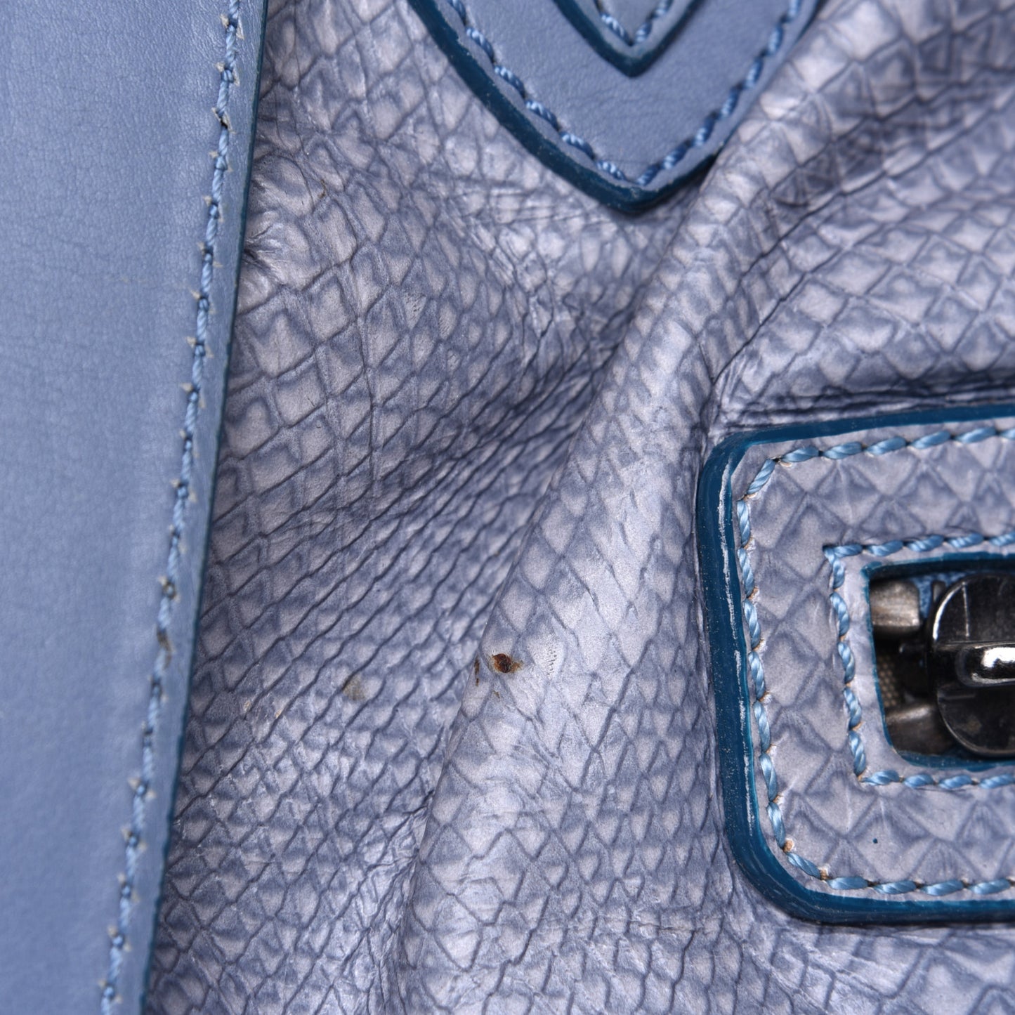 Calfskin Snake Print Stam Blue