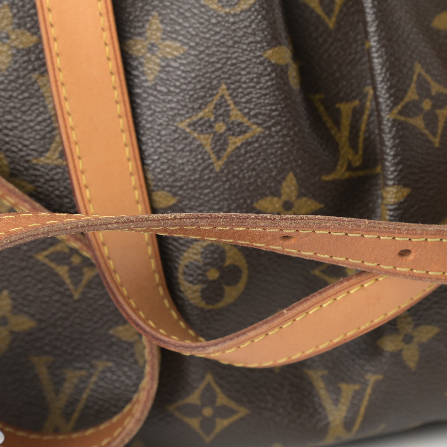 Louis Vuitton Monogram Palermo PM 15 of 16