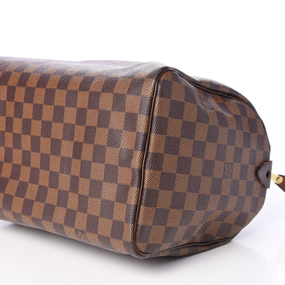 Louis Vuitton Damier Ebene Speedy 30 6 of 10