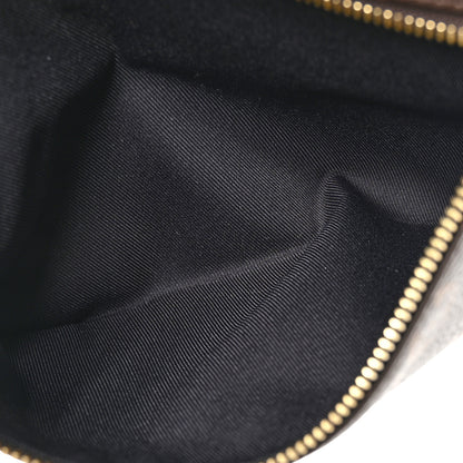 Louis Vuitton Monogram Bumbag 5 of 11