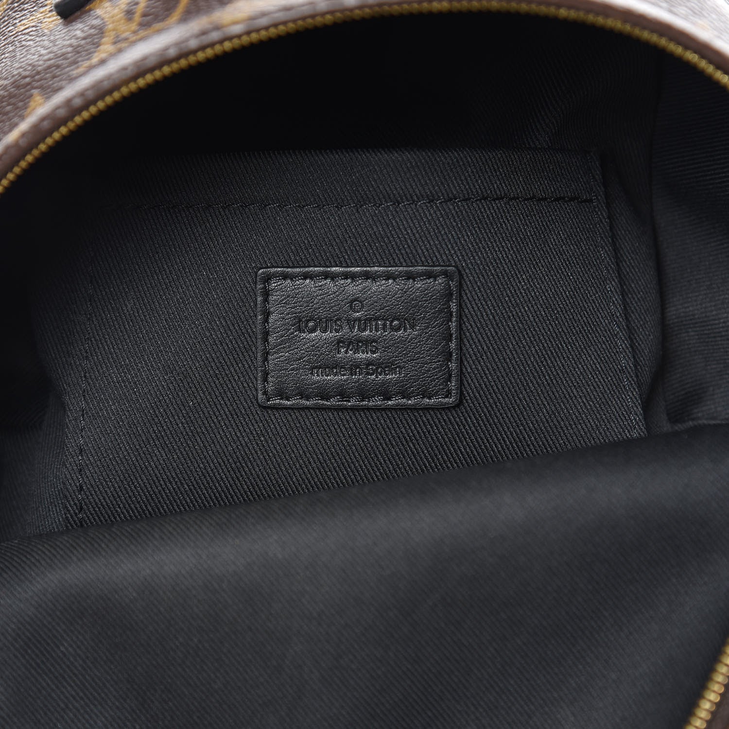 Louis Vuitton Monogram Palm Springs Backpack Mini 6 of 12