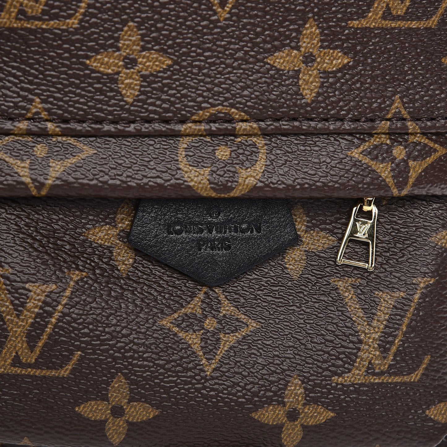 Monogram Palm Springs Backpack Mini
