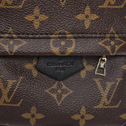 Louis Vuitton Monogram Palm Springs Backpack Mini 7 of 7