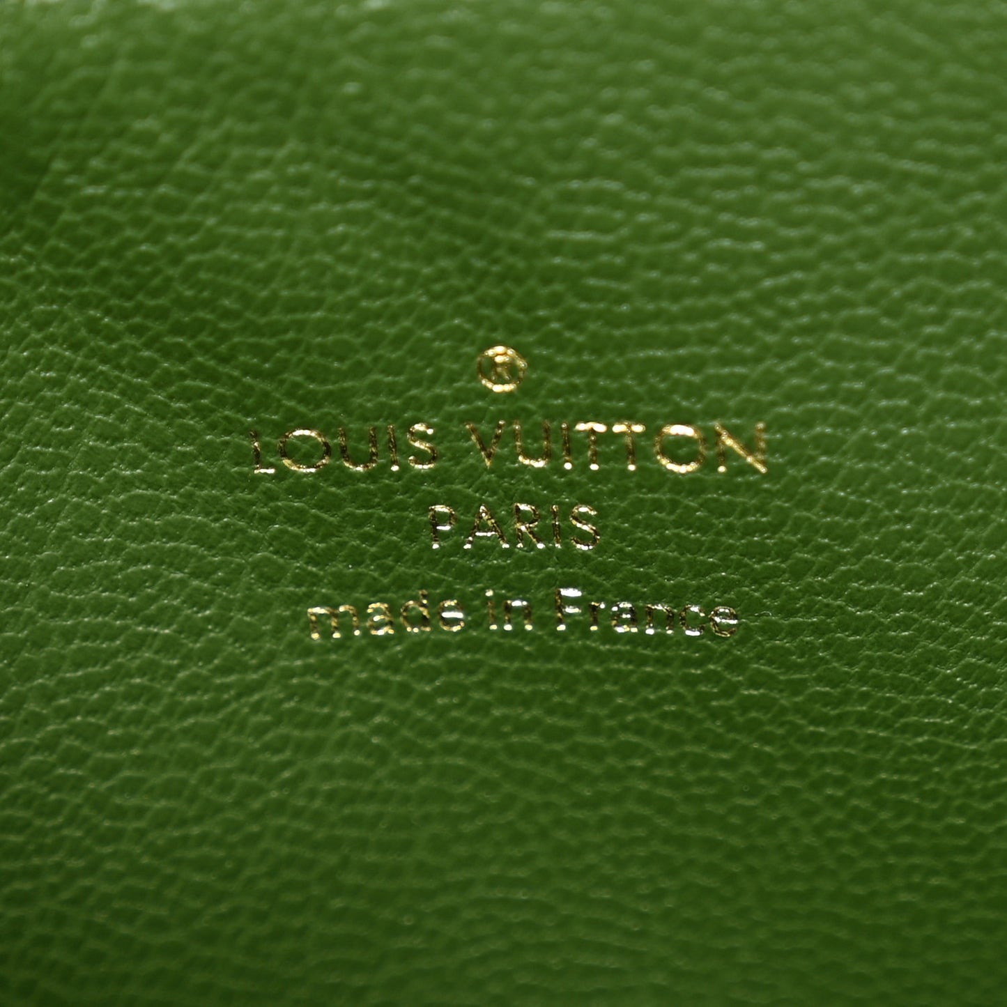 Lambskin Embossed Monogram Coussin PM Blue Green