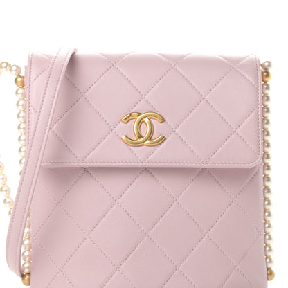Chanel Calfskin Quilted Pearl Small About Pearls Hobo Bag Light Pink 8 of 11