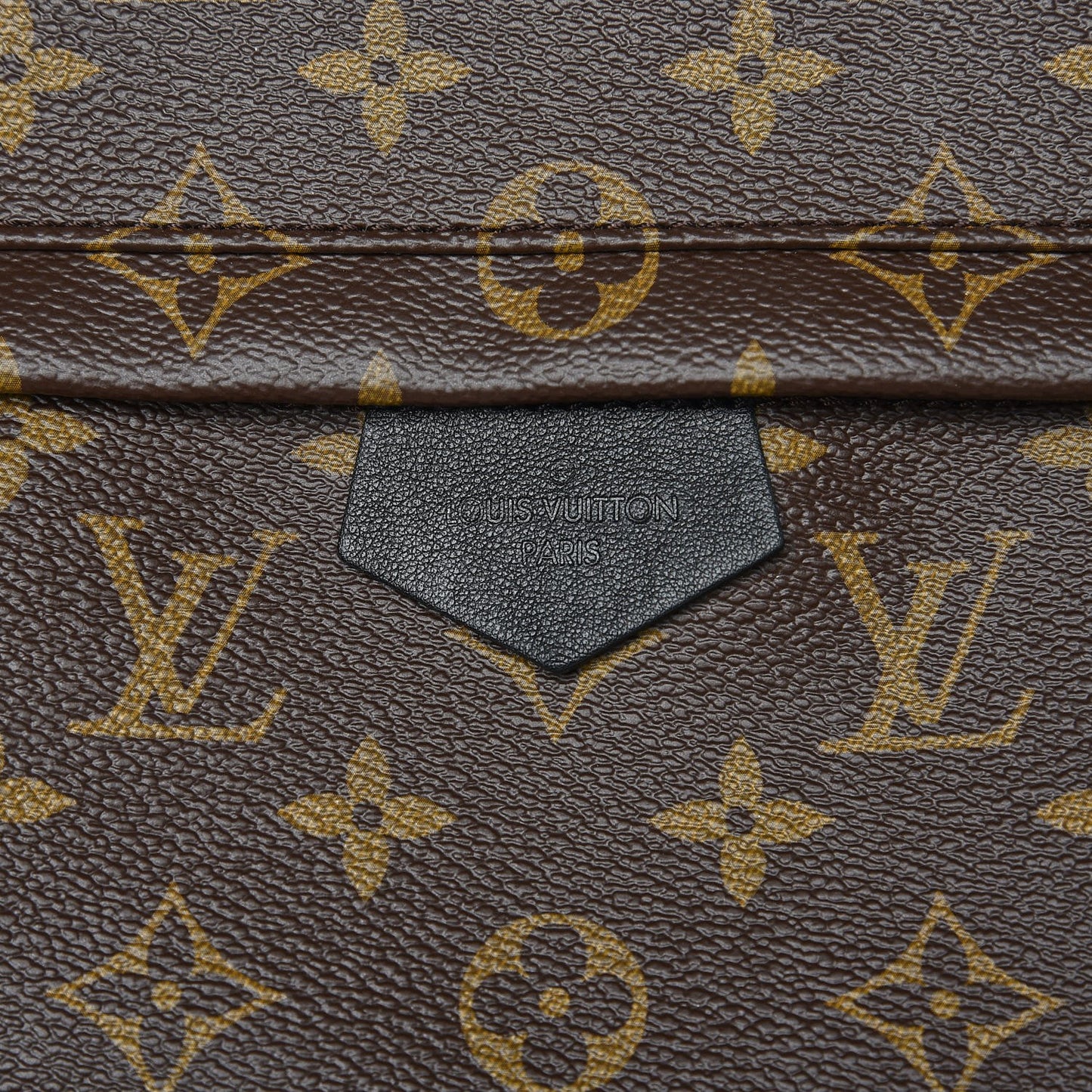 Monogram Palm Springs Backpack MM
